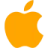 iOS icon